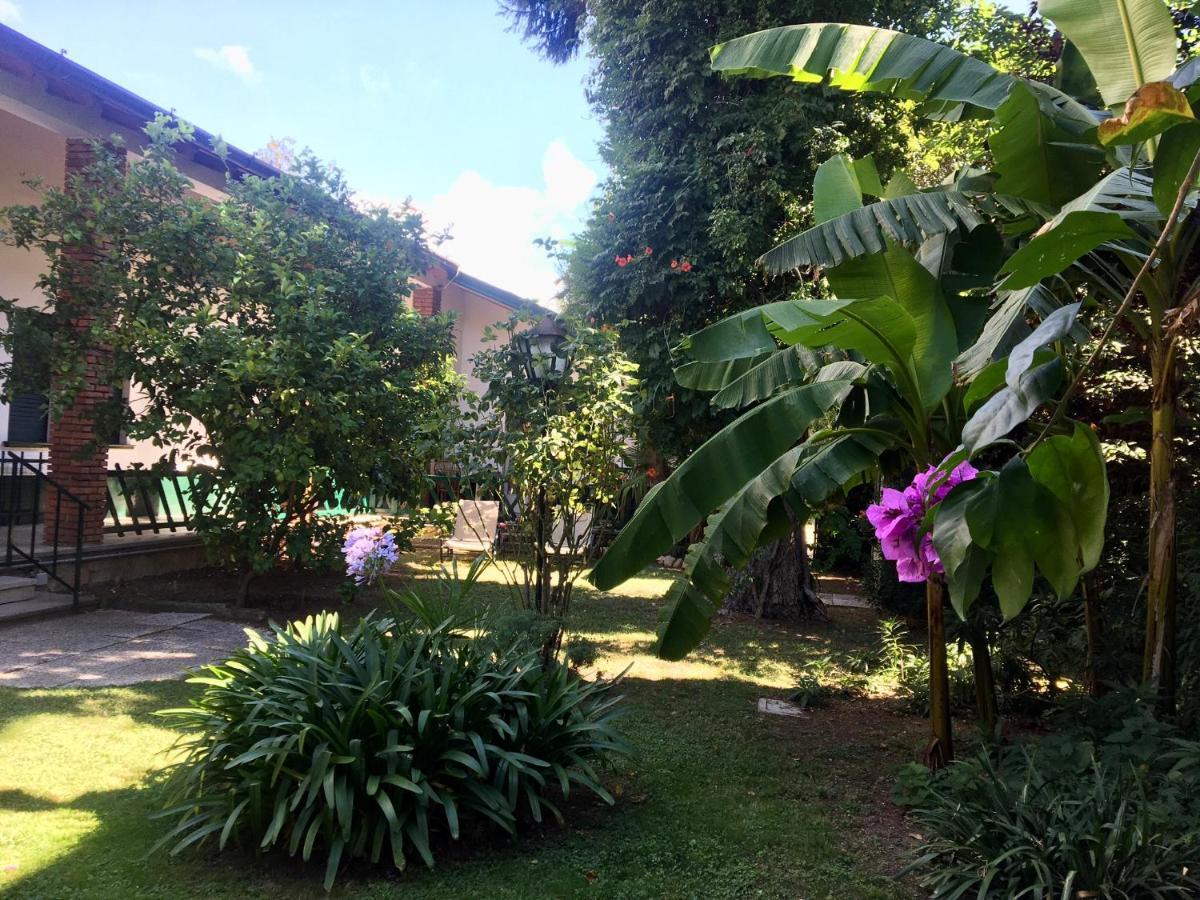 Casa Vacanze Gabbianella Villa Con Giardino Lungolago Maderno Toscolano Maderno Dış mekan fotoğraf